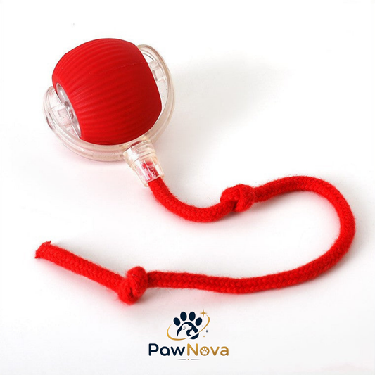 PawNova™ Akıllı Kedi Oyuncak Topu — USB Şarjlı, Işıklı, 3 Modlu, 360° Hareket
