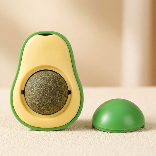 PawNova™ Avokado Kedi Nanesi